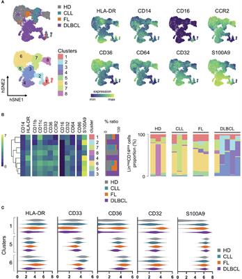 Circulating Myeloid Regulatory Cells: Promising Biomarkers in B-Cell Lymphomas